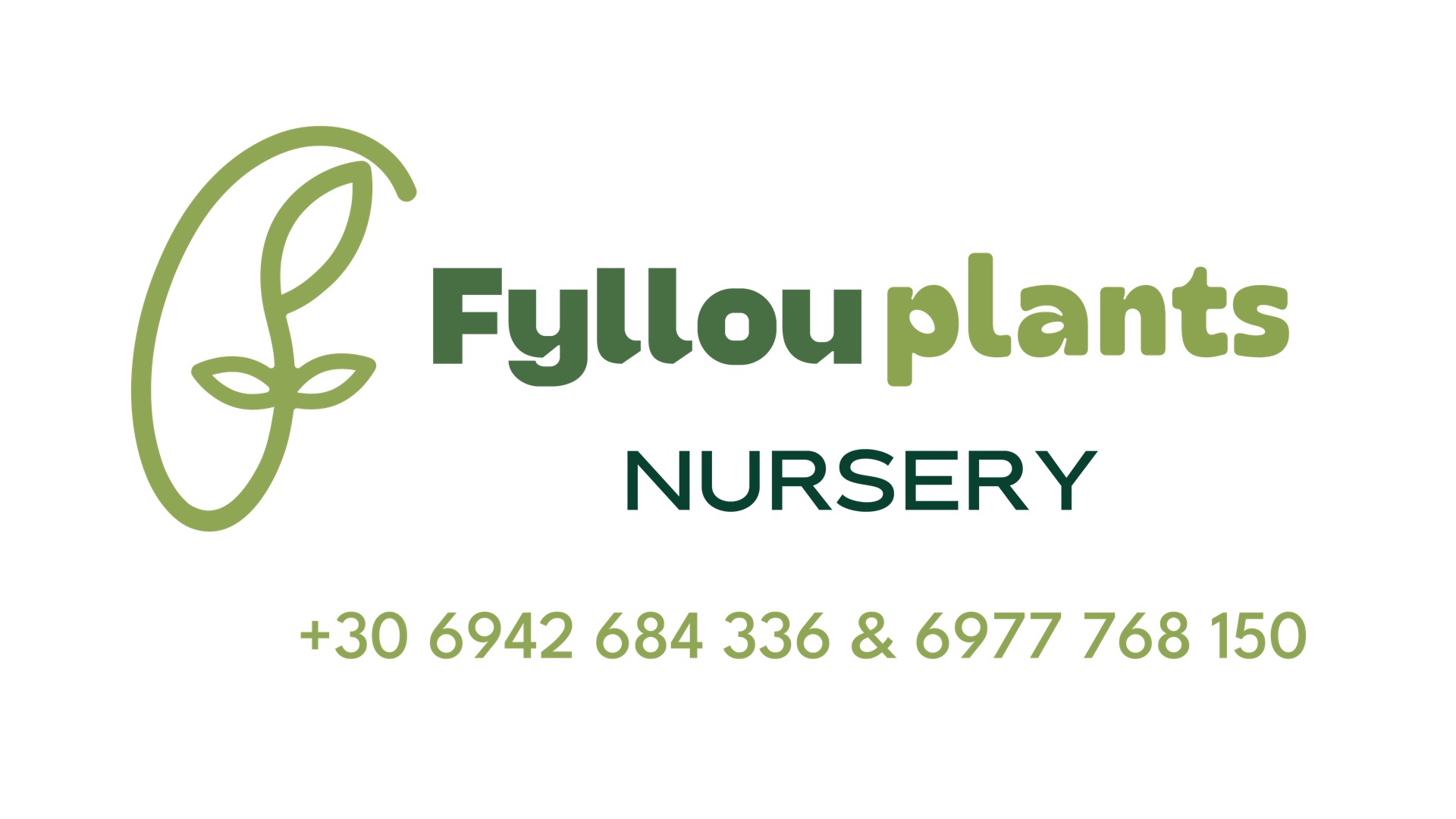 fyllou Plants